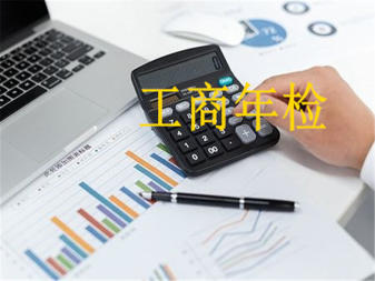 工商注冊(cè)與財(cái)務(wù)咨詢 企業(yè)發(fā)展雙翼